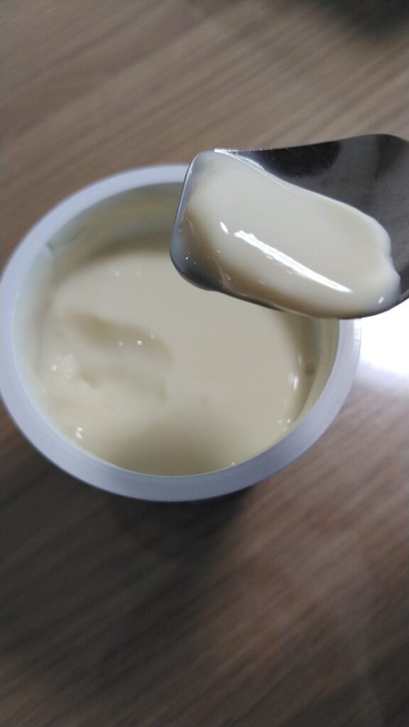 豆乳で作ったヨーグルト